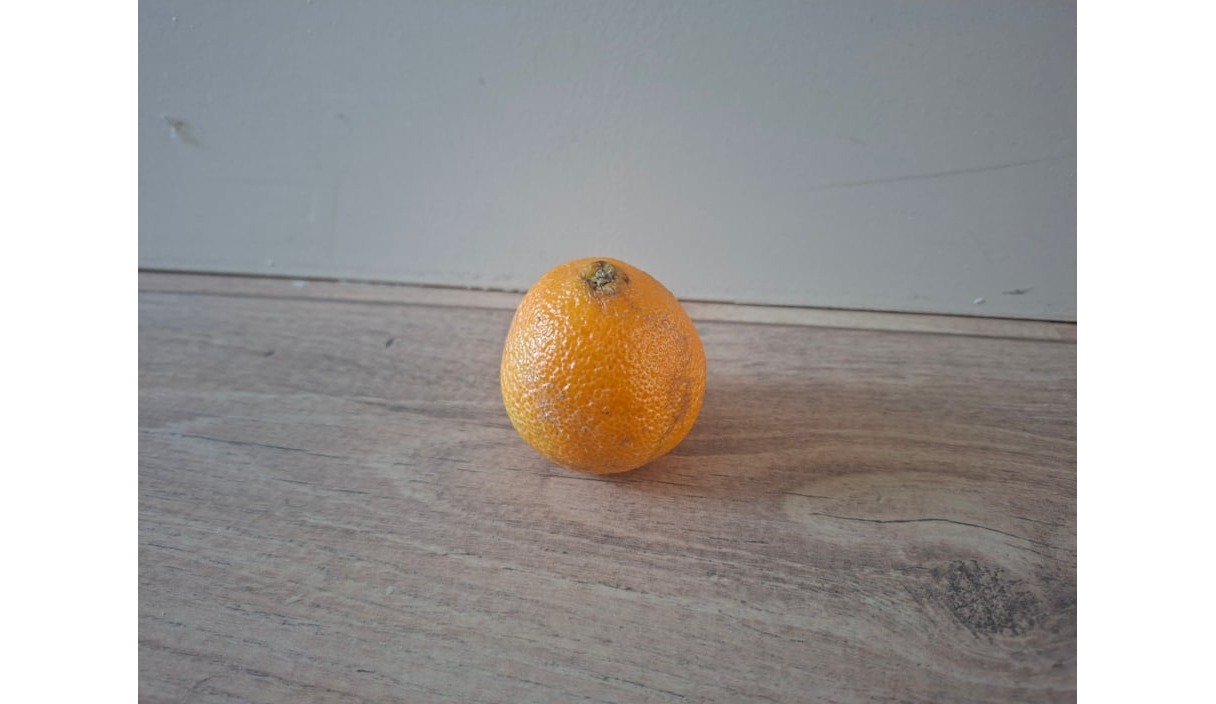 Mandarijnen H2,44 png transparant